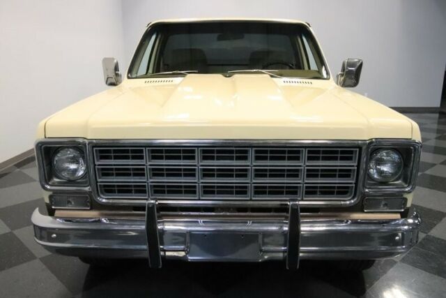 Chevrolet C-10 1978 image number 19