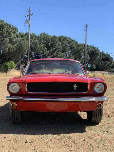 Ford Mustang 1965 image number 16