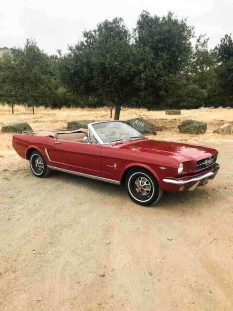 Ford Mustang 1965 image number 14