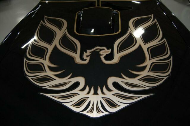 Pontiac Trans Am 1978 image number 14