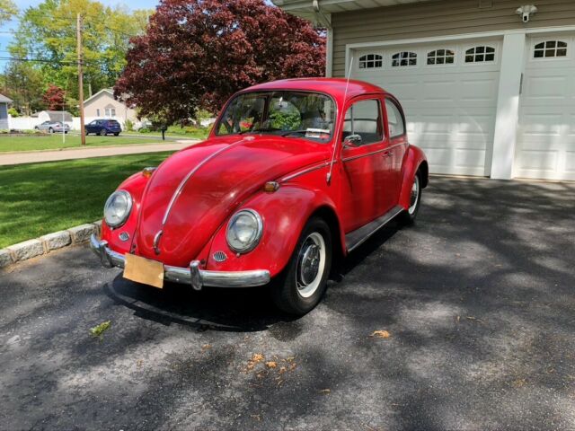 Volkswagen Beetle - Classic 1966 image number 12