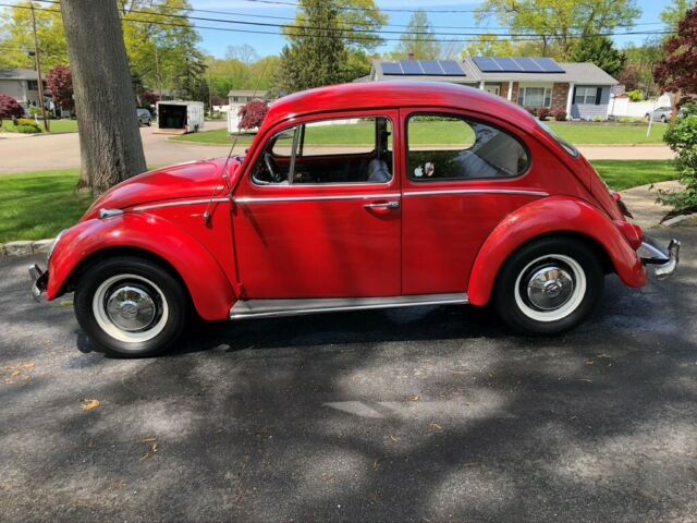 Volkswagen Beetle - Classic 1966 image number 14