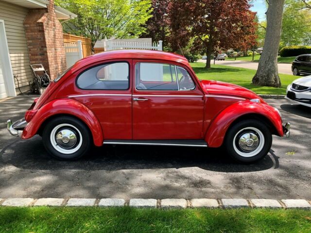 Volkswagen Beetle - Classic 1966 image number 6