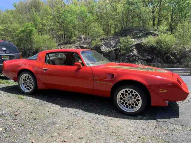 Pontiac Trans Am 1979 image number 16