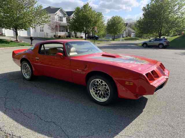 Pontiac Trans Am 1979 image number 17