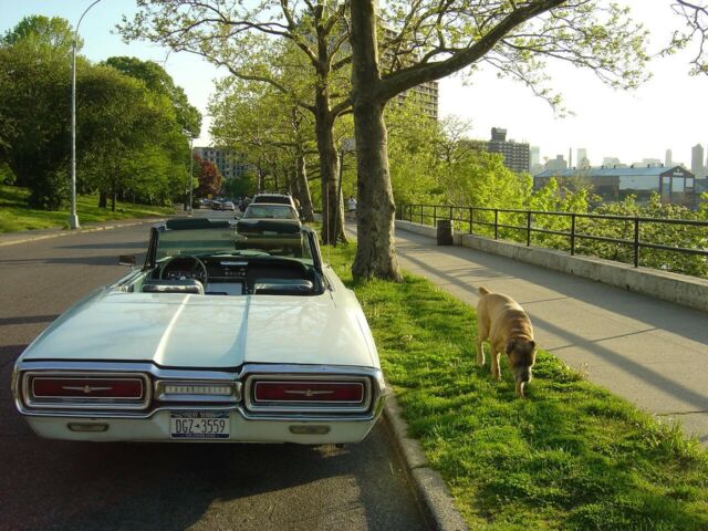 Ford Thunderbird 1964 image number 15