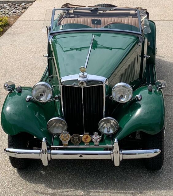 MG T-Series 1953 image number 14