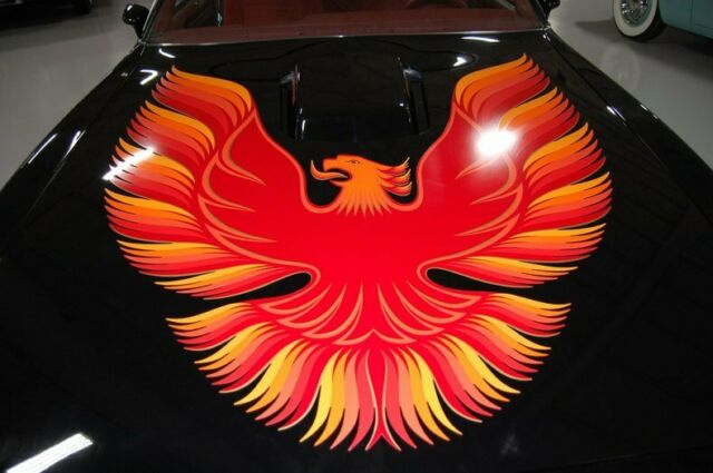 Pontiac Trans Am 1979 image number 12