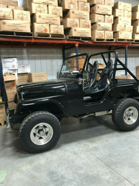 Jeep CJ 1968 image number 2