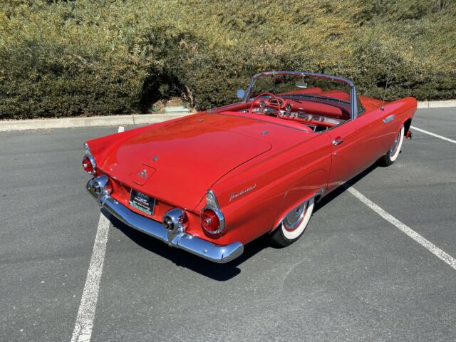 Ford Thunderbird 1955 image number 11