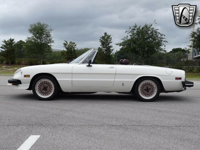 Alfa Romeo Spider 1977 image number 14