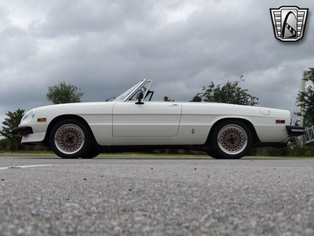 Alfa Romeo Spider 1977 image number 15