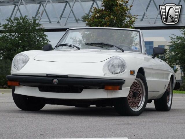 Alfa Romeo Spider 1977 image number 29