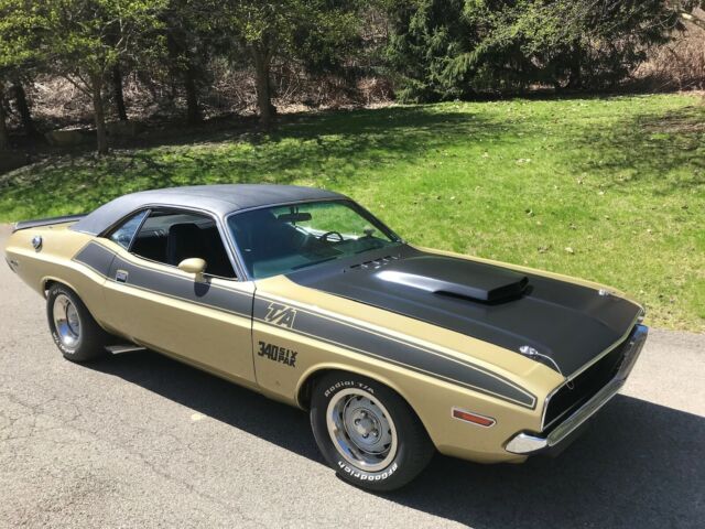 Dodge Challenger 1970 image number 30