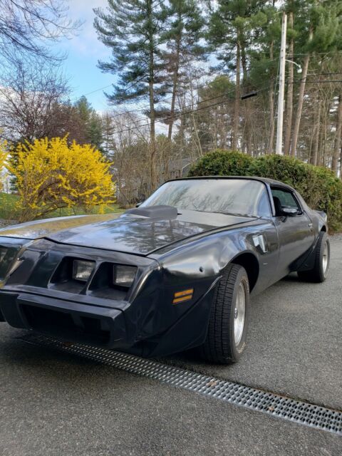 Pontiac Trans Am 1979 image number 2