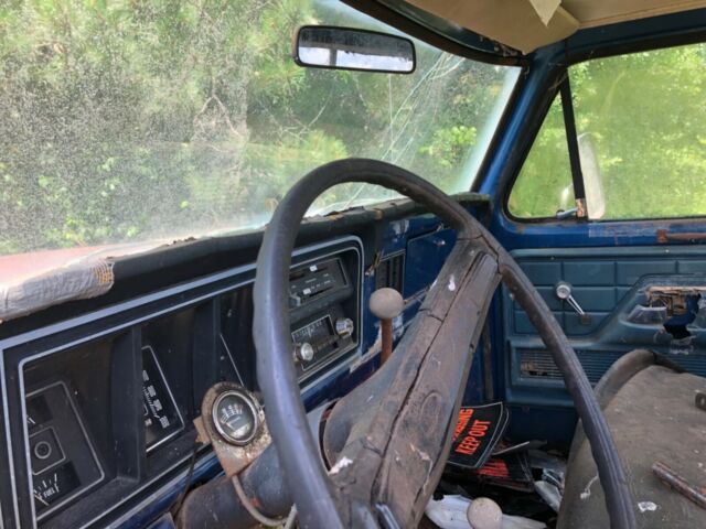 Ford F-250 1977 image number 3