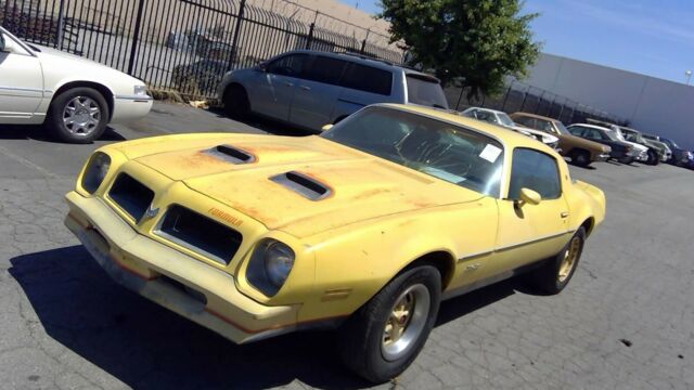 Pontiac Firebird 1976 image number 1