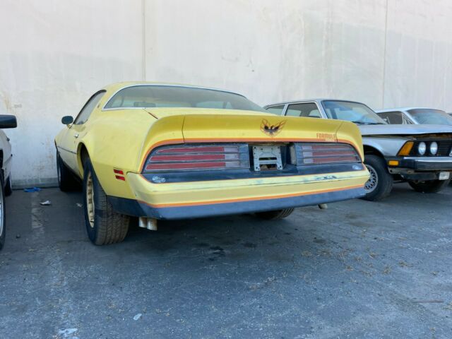 Pontiac Firebird 1976 image number 15