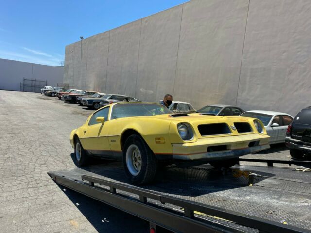 Pontiac Firebird 1976 image number 6