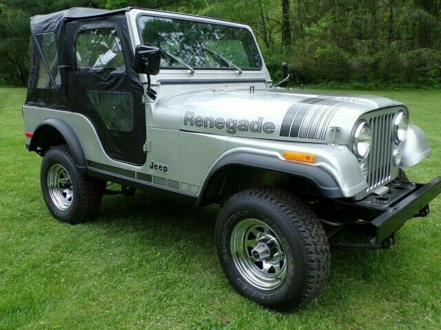 Jeep CJ 1979 image number 2