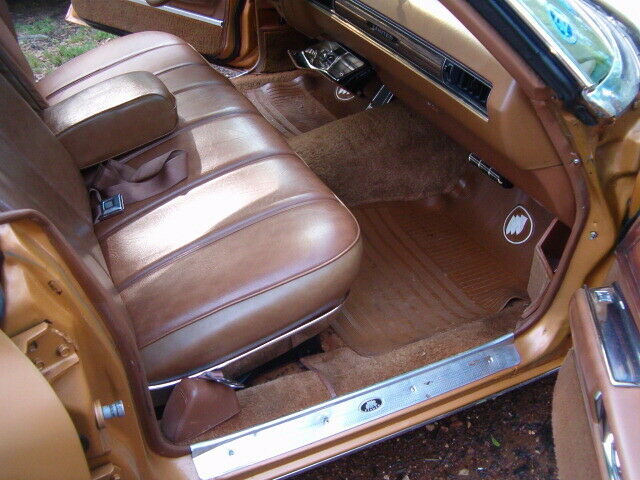 Buick Electra 1973 image number 13