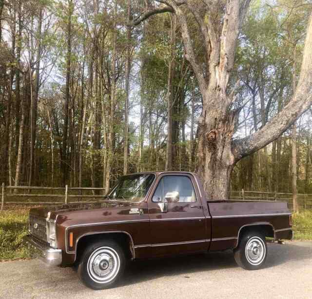 Chevrolet C10/K10 1979 image number 0