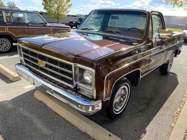 Chevrolet C10/K10 1979 image number 10