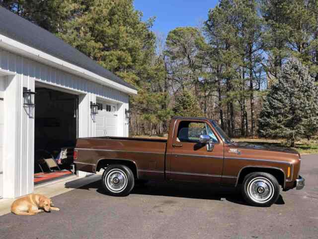 Chevrolet C10/K10 1979 image number 27