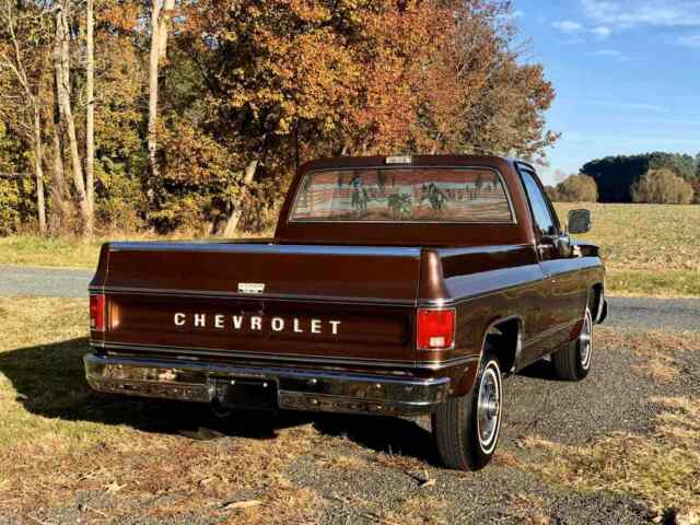 Chevrolet C10/K10 1979 image number 31