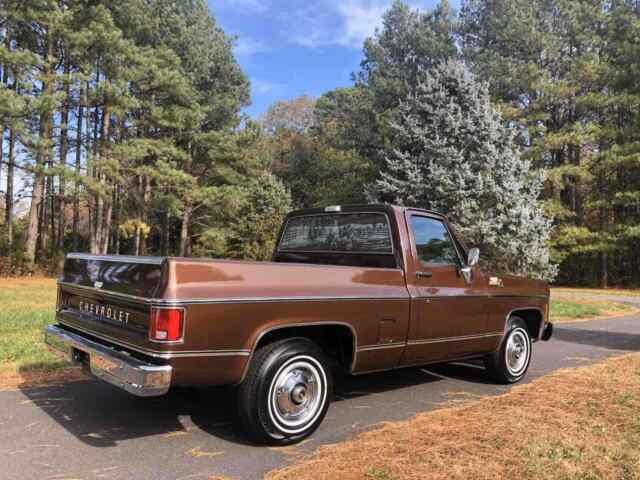 Chevrolet C10/K10 1979 image number 33