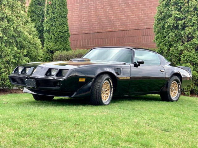 Pontiac Trans Am 1979 image number 20