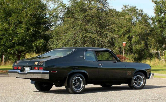 Chevrolet Nova 1974 image number 11