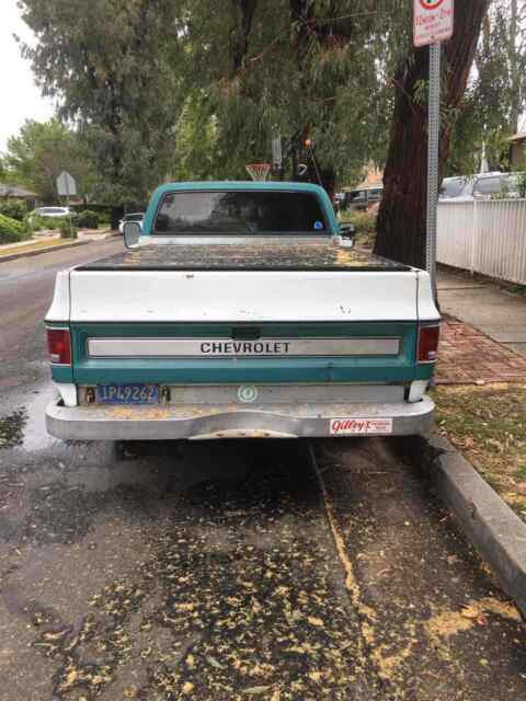 Chevrolet C10/K10 1976 image number 3