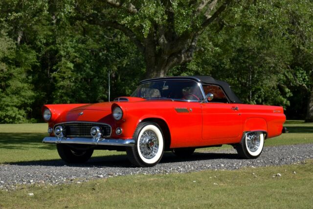 Ford Thunderbird 1955 image number 31