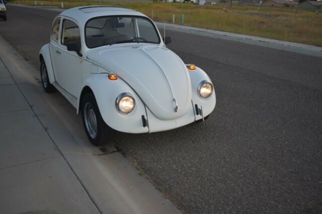 Volkswagen Beetle - Classic 1969 image number 16