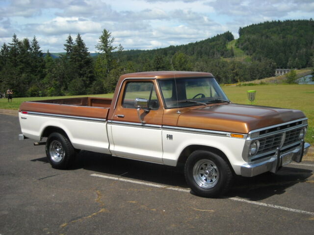 Ford F-100 1973 image number 0