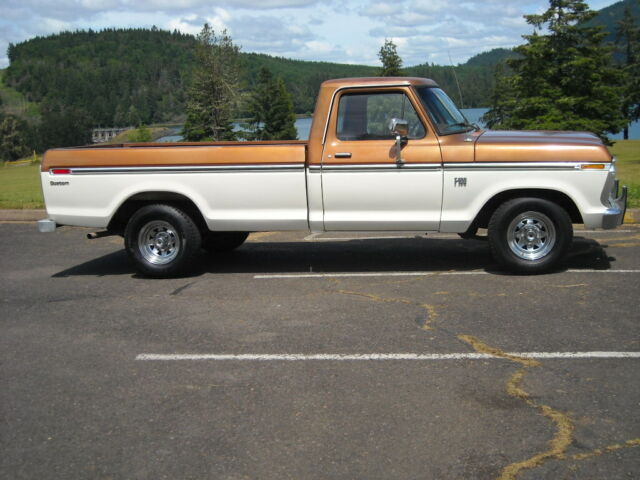 Ford F-100 1973 image number 1