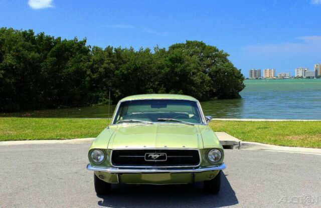 Ford Mustang 1967 image number 31