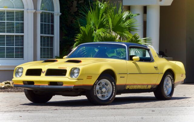 Pontiac Firebird 1976 image number 2