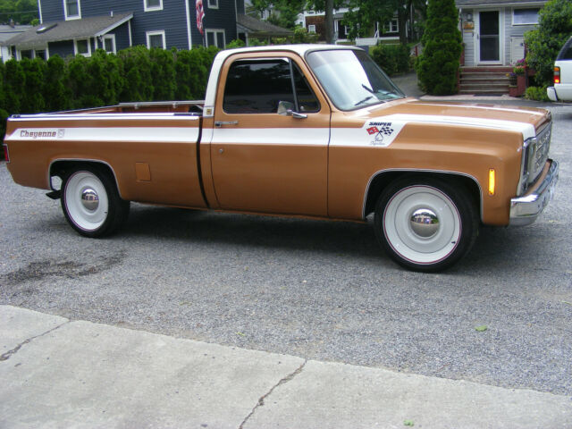 Chevrolet C-10 1979 image number 29