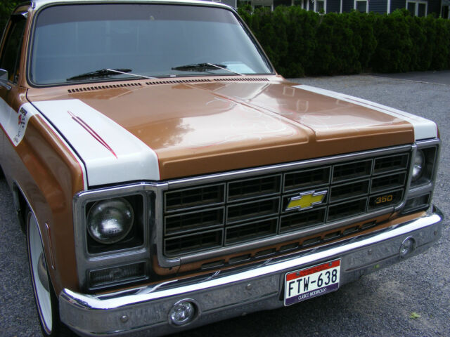 Chevrolet C-10 1979 image number 30