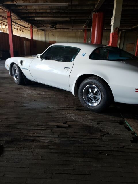 Pontiac Trans Am 1979 image number 11