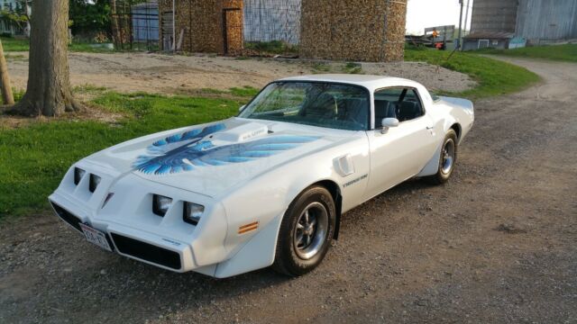 Pontiac Trans Am 1979 image number 17