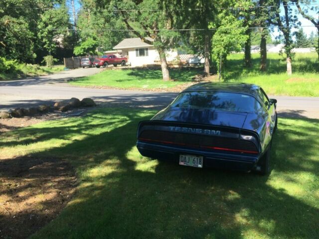 Pontiac Trans Am 1979 image number 25