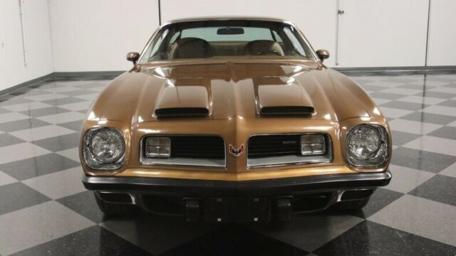 Pontiac Firebird 1975 image number 19