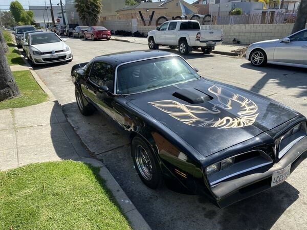 Pontiac Trans Am 1978 image number 11