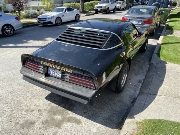 Pontiac Trans Am 1978 image number 12