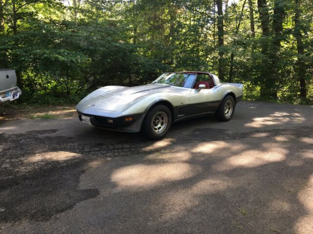 Chevrolet Corvette 1978 image number 10