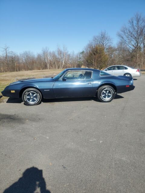 Pontiac Firebird Formula 1979 image number 0