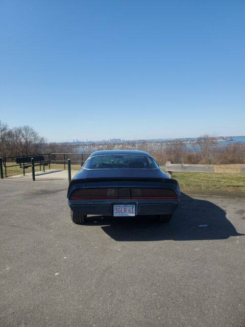 Pontiac Firebird Formula 1979 image number 2